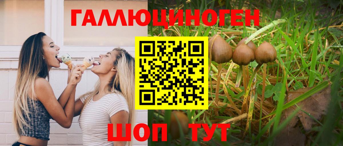 Белогорск  Псилоцибиновые грибы GOLDEN TEACHER  Вход с VPN  как найти закладки  Псилоцибиновые грибы прущие грибы 